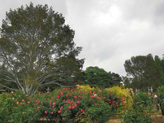 -国家植物园南园