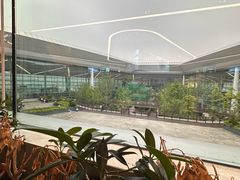 -星巴克(成都天府机场2店)