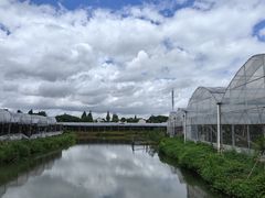 -马陆小张葡萄园农家乐