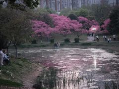 -堤角公园