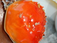 -蟹天蟹地农家菜·阳澄湖大闸蟹(浅水湾店)