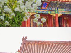 -北京大观园