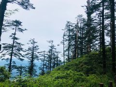 -瓦屋山景区