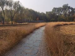 -北坞公园