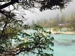 -黄龙山原始森林景区