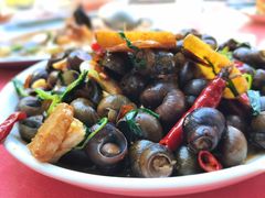 -遇龙河大樟树农家乐