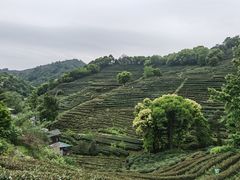 -海底捞火锅(坪山益田假日广场店)