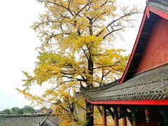 -金堂县云顶石城风景区