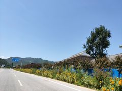 -陕西省红河谷森林公园