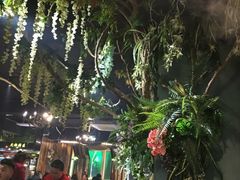 -苏格里岛自助烧烤火锅(花果园兰花广场店)