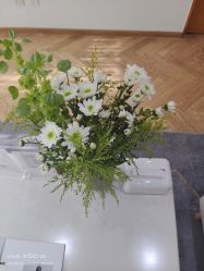 -HEYAN荷妍专业脱毛连锁机构