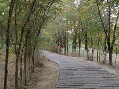 -西青郊野公园