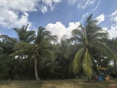 -三亚海棠湾万丽度假酒店