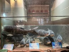 -上名堂·鱼头好吃(体育场路店)