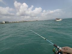 -小猫钓鱼海钓俱乐部(椰梦长廊店)