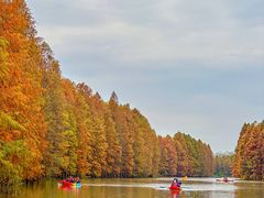 -上海海湾国家森林公园