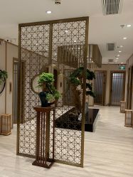 -HQ半永久纹绣纹眉