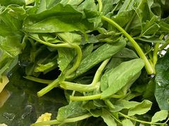 -金鼎雪山牦牛杂火锅(理县总店)