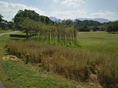 -福建鲤鱼洲酒店