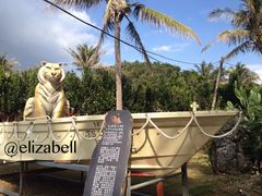 少年派的奇幻漂流-白沙湾海滩