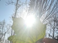 -乌素图国家森林公园