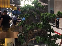 -喜庭海鲜自助(来福士店)