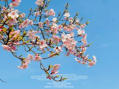 -上海辰山植物园