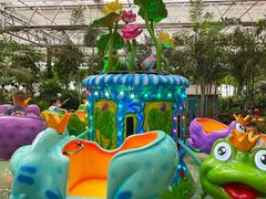 -南宫五洲植物乐园