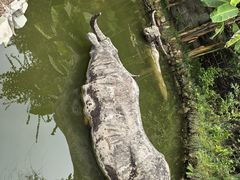 -燊海井