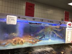 门面-超级物种·波龙工坊(国贸店)
