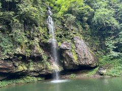 -龙苍沟森林公园