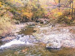 -关门山森林公园