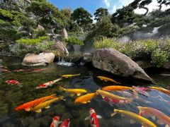 -罗红摄影艺术馆