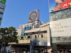 -涩谷全向十字路口