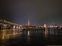 -武汉两江游览·夜游长江(汉阳门码头)