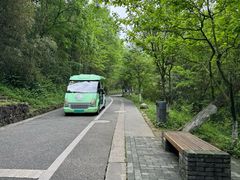 -都江堰中华大熊猫苑