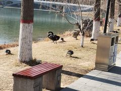 -河北省园博园