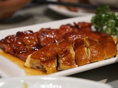 -南枝记