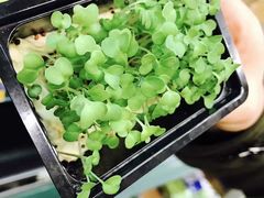 -谢列梅捷沃国际机场