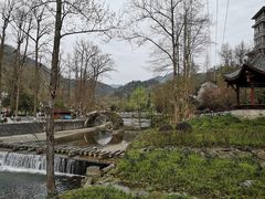 -四川省成都市彭州市白鹿镇