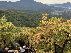 -吉林市朱雀山国家森林公园