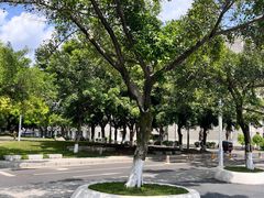 -四川大学(望江校区)