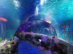 -沈阳海洋探索中心