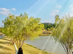 -东莞植物园