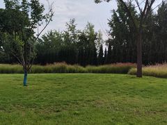 -汉长安城未央宫国家考古遗址公园