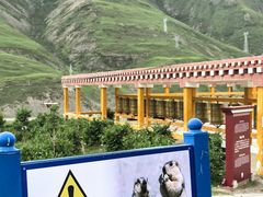 -比如骷髅墙景区