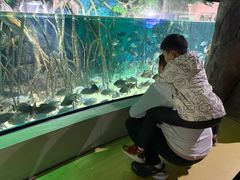 -福州罗源湾海洋世界旅游区