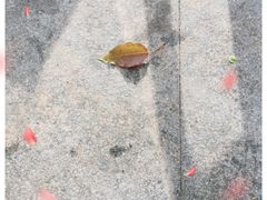 -梁子湖东篱老屋生态庄园