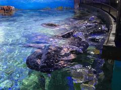 -福州罗源湾海洋世界旅游区