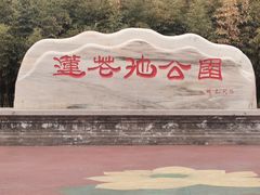 -莲花池公园